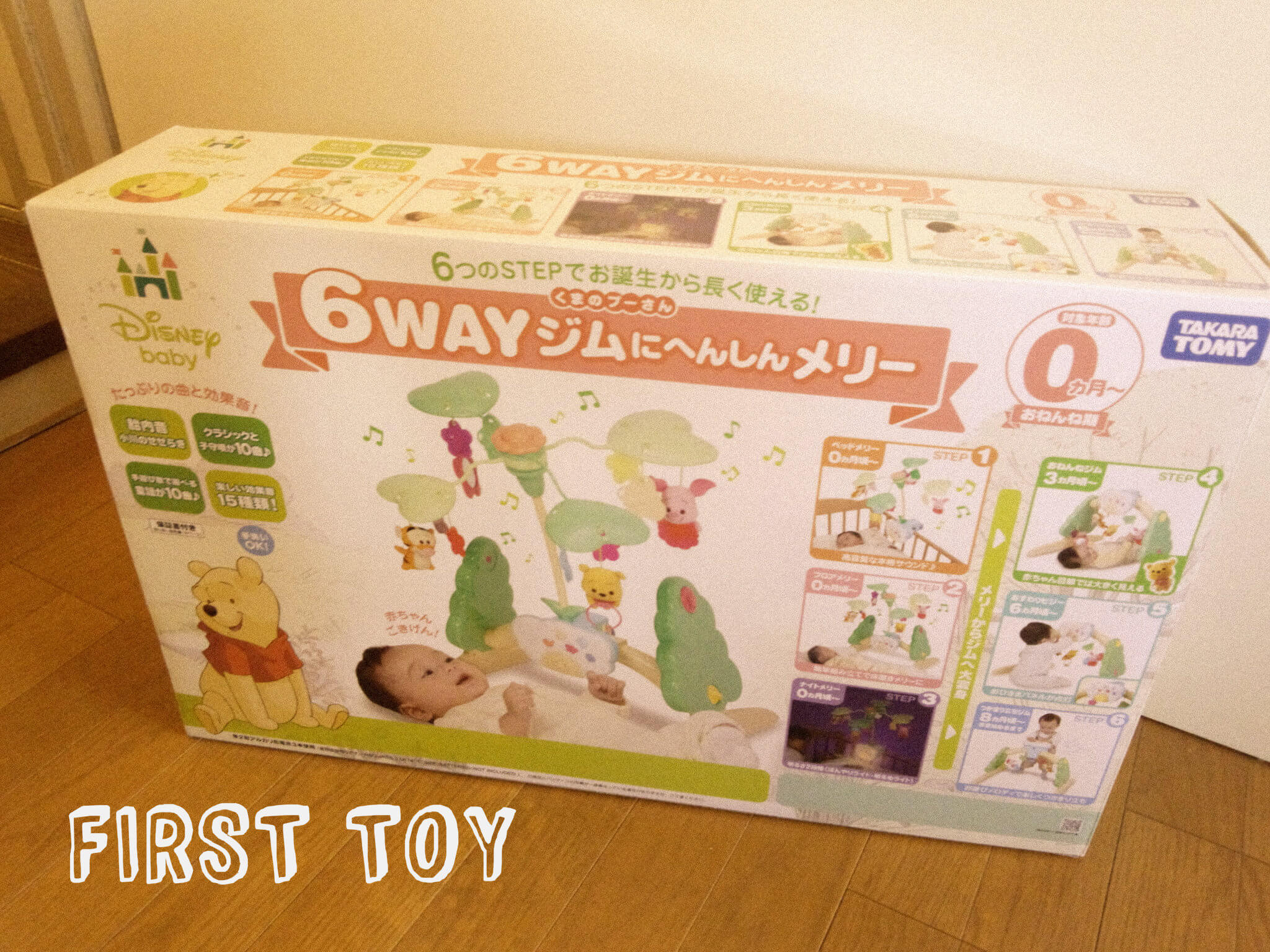 チビヒメに初めてのおもちゃ!6WAYジムにへんしんメリー