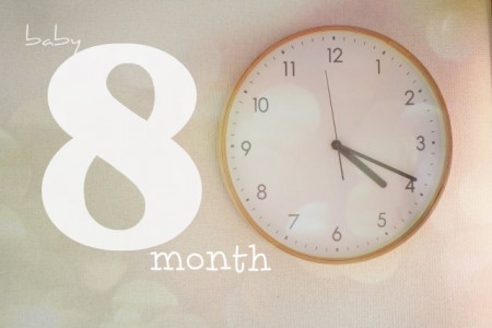 8month