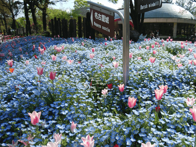 名城公園