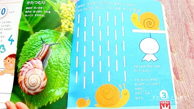 ポピーきいどり口コミ