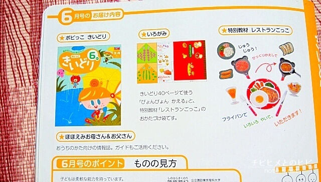 ポピーきいどり口コミ