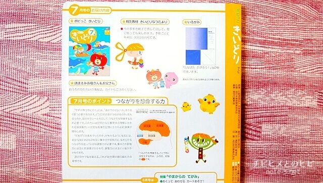 ポピーきいどり口コミ