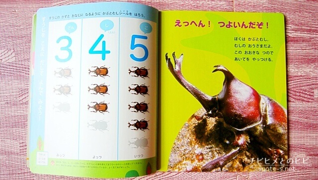ポピーきいどり口コミ