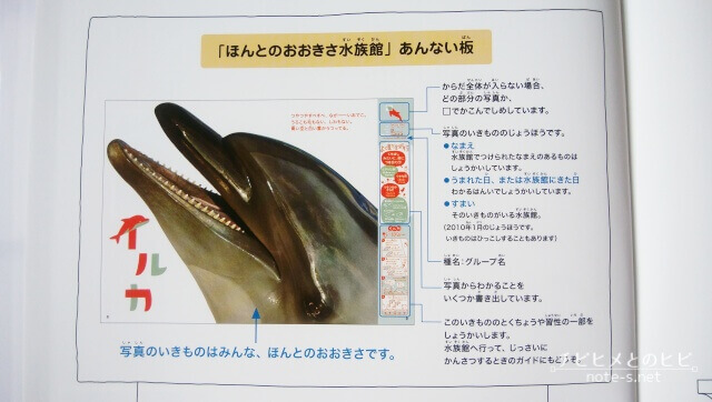 ほんとのおおきさ水族館　学研実物大図鑑