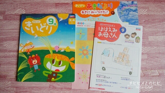ポピーきいどり口コミ