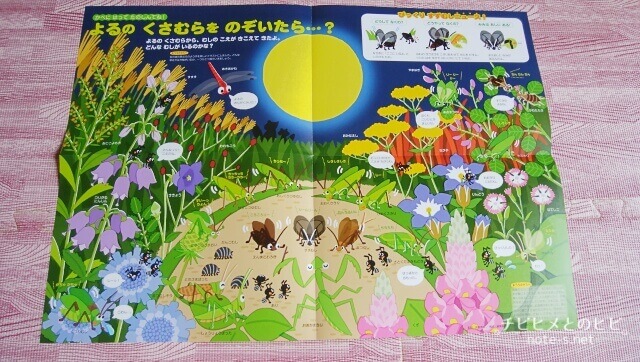 ポピーきいどり口コミ