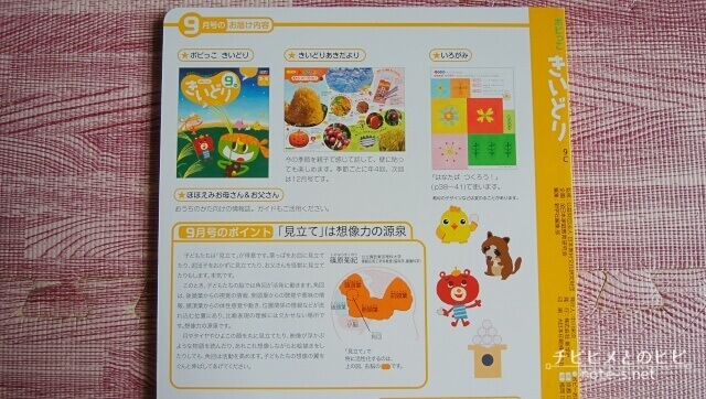 ポピーきいどり口コミ