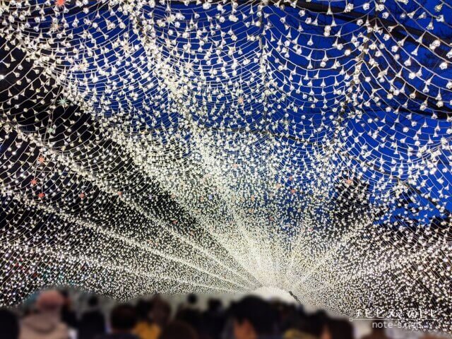 なばなの里イルミネーション 混雑状況 点灯時間の30分前待機がおすすめ チビヒメとのヒビ なばなの里イルミネーション 混雑状況 点灯時間の30分前待機がおすすめ チビヒメとのヒビ