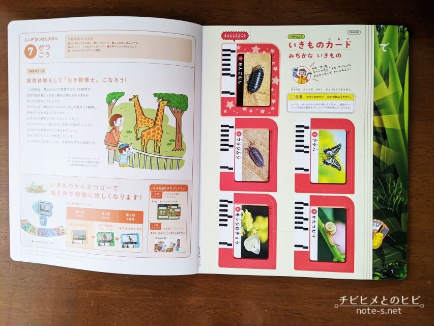 こどもちゃれんじすてっぷ7月号-総合コース　口コミ