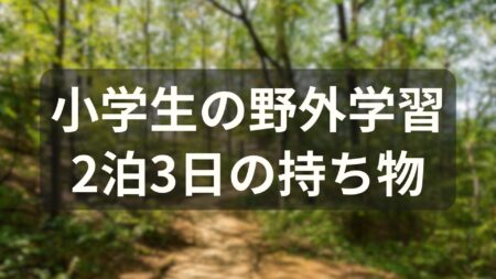 夏の森を背景に、小学生の野外学習2泊3日の持ち物と書かれたアイキャッチ